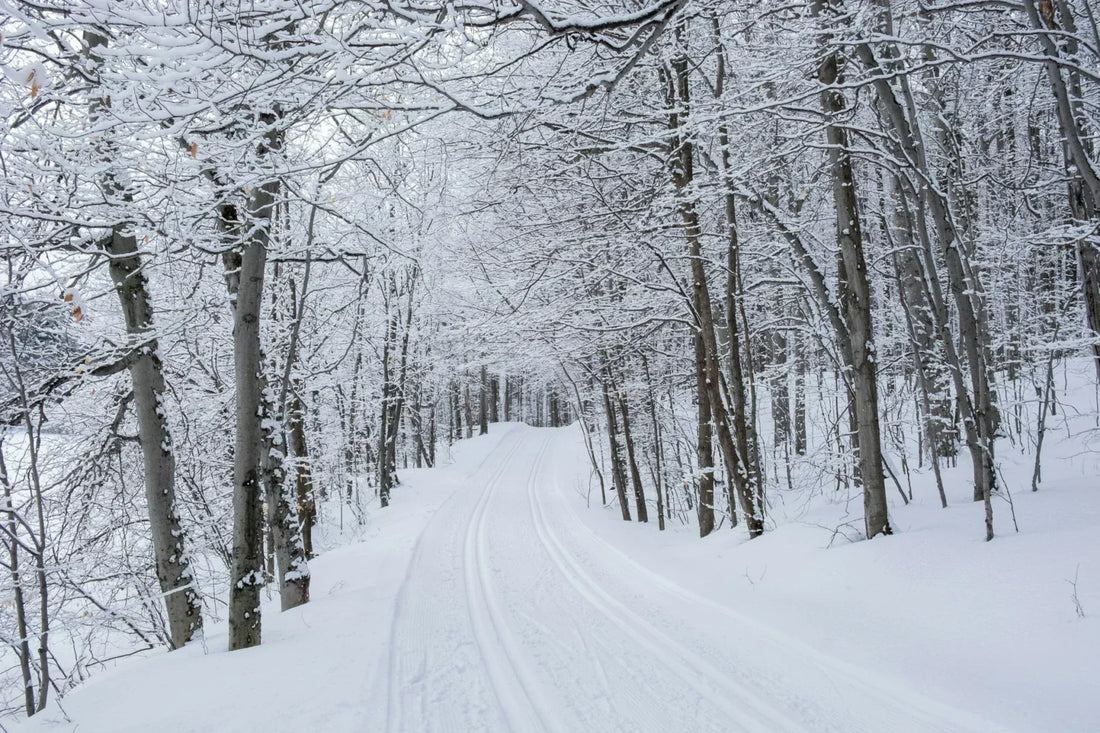 Snow-covered cross-country trail through a winter forest — representing the lightweight warmth and breathability of Laetts XC ski socks with HygroHeat™ technology.