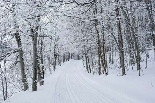 Snow-covered cross-country trail through a winter forest — representing the lightweight warmth and breathability of Laetts XC ski socks with HygroHeat™ technology.