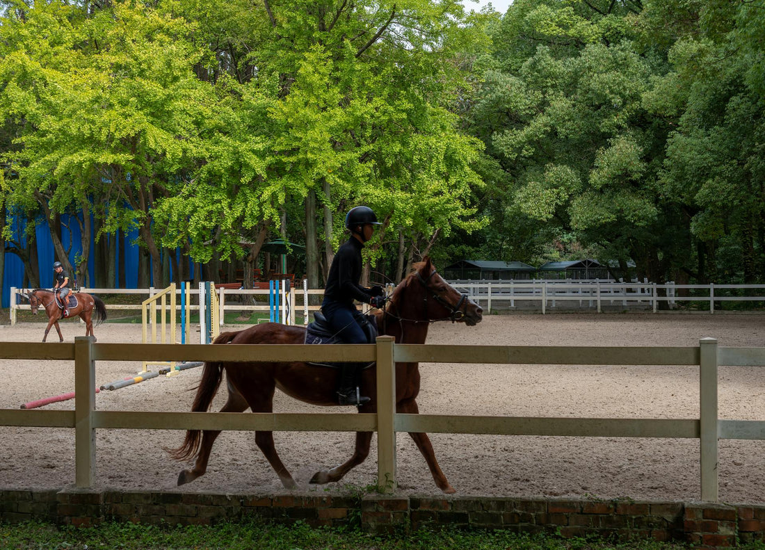 Best Socks for Equestrian Riding: Compression, Comfort & Control by Laetts
